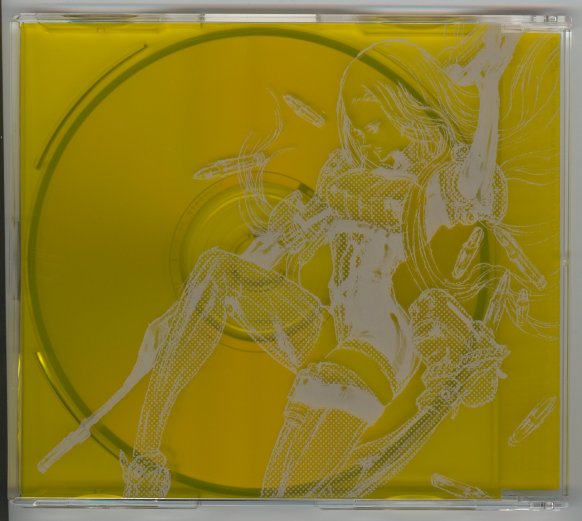 Disc Case 2