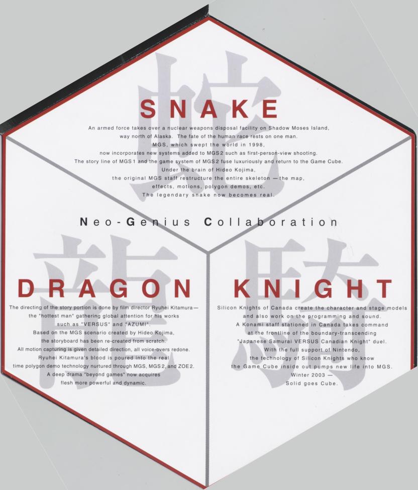 Twin Snakes Promo Interior