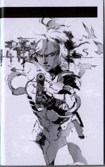Raiden