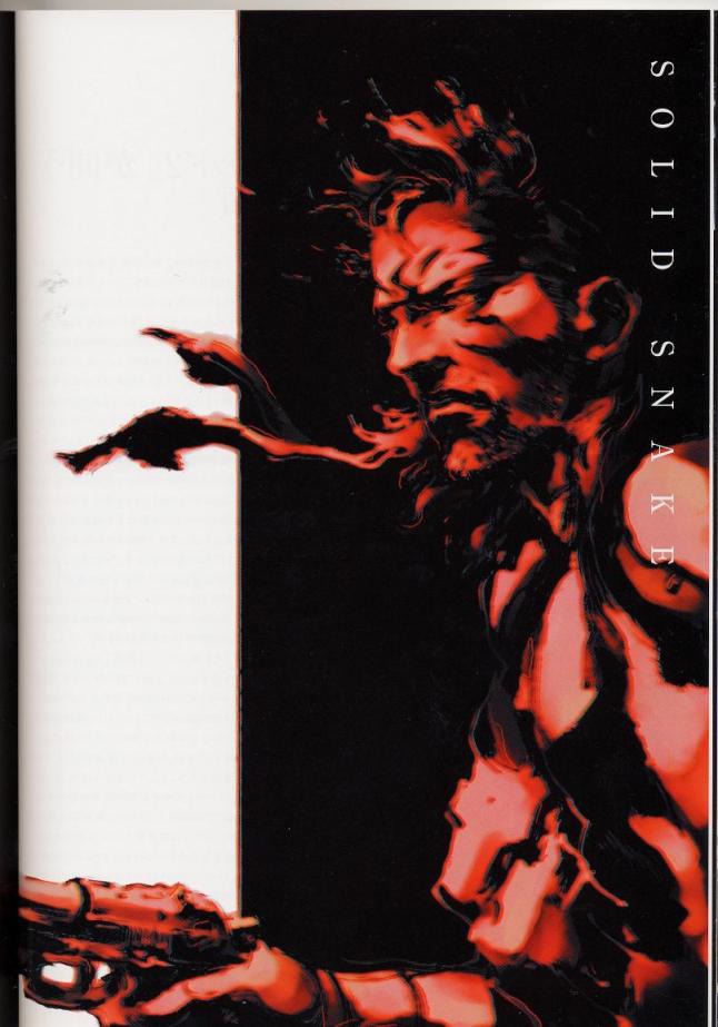 Snake Artwork