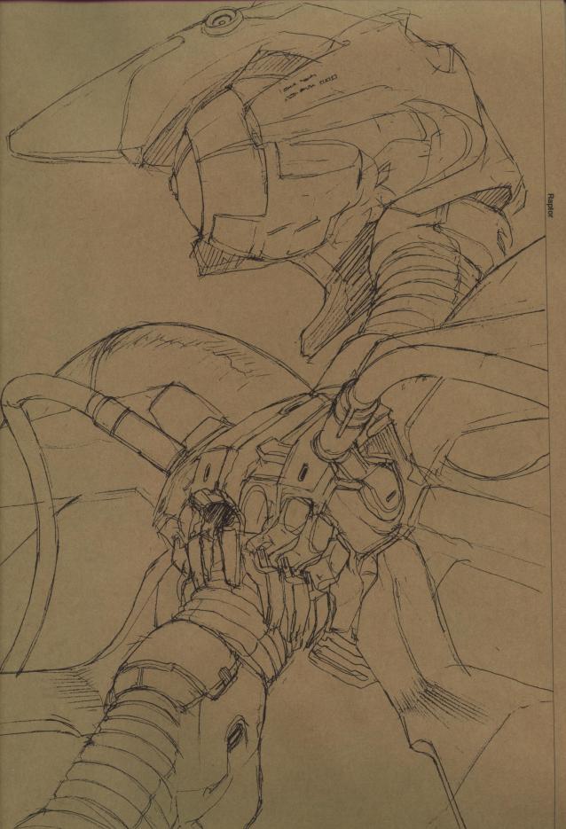 Raptor Sketch