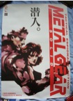 mgs
